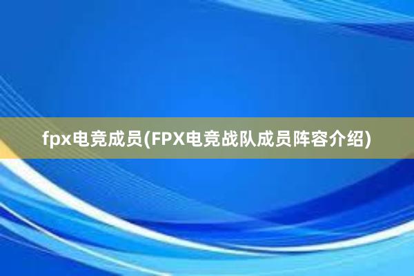 fpx电竞成员(FPX电竞战队成员阵容介绍)