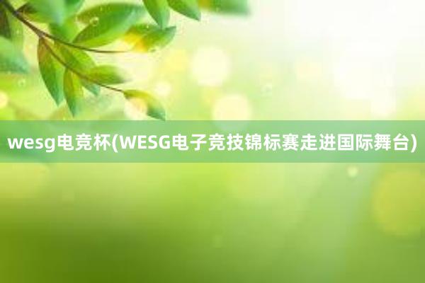 wesg电竞杯(WESG电子竞技锦标赛走进国际舞台)