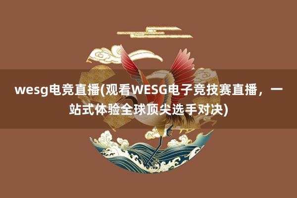 wesg电竞直播(观看WESG电子竞技赛直播，一站式体验全球顶尖选手对决)