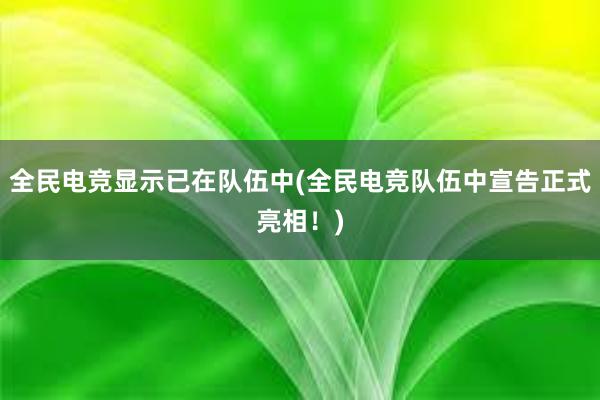 全民电竞显示已在队伍中(全民电竞队伍中宣告正式亮相！)