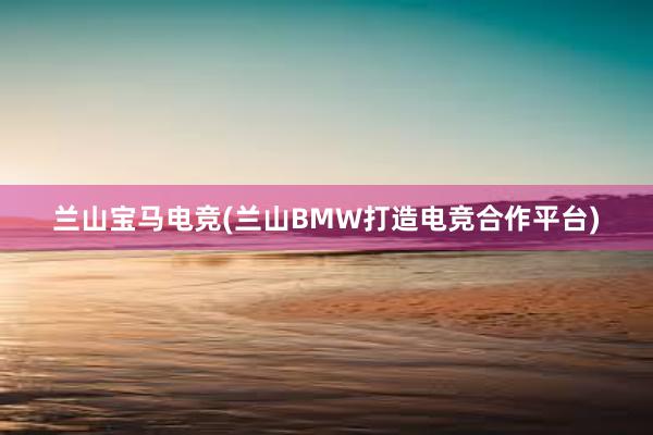 兰山宝马电竞(兰山BMW打造电竞合作平台)