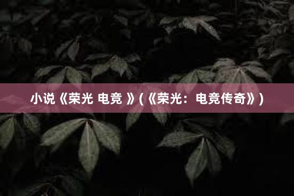 小说《荣光 电竞 》(《荣光：电竞传奇》)