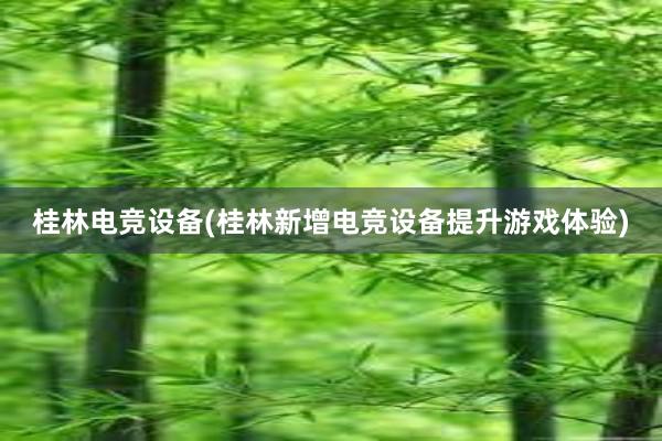 桂林电竞设备(桂林新增电竞设备提升游戏体验)