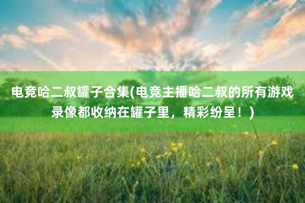 电竞哈二叔罐子合集(电竞主播哈二叔的所有游戏录像都收纳在罐子里，精彩纷呈！)