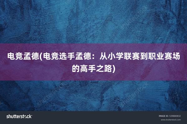 电竞孟德(电竞选手孟德：从小学联赛到职业赛场的高手之路)