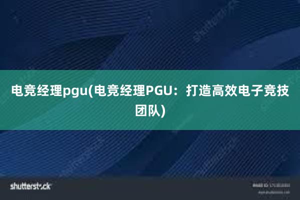 电竞经理pgu(电竞经理PGU：打造高效电子竞技团队)