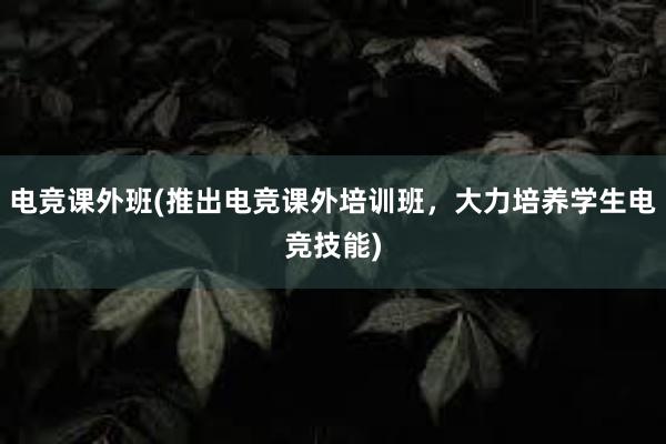 电竞课外班(推出电竞课外培训班，大力培养学生电竞技能)