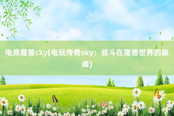 电竞魔兽sky(电玩传奇sky：战斗在魔兽世界的巅峰)