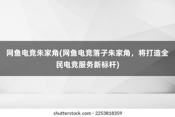 网鱼电竞朱家角(网鱼电竞落子朱家角，将打造全民电竞服务新标杆)