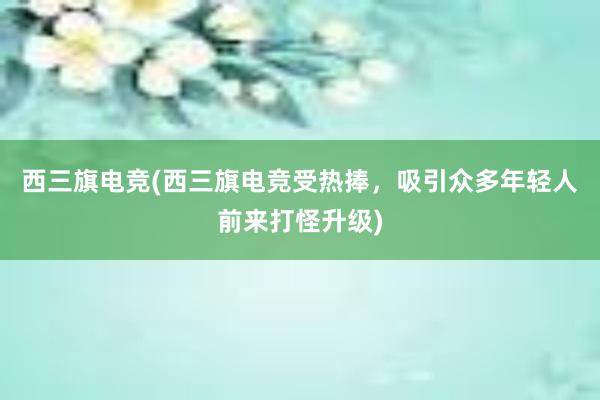 西三旗电竞(西三旗电竞受热捧，吸引众多年轻人前来打怪升级)