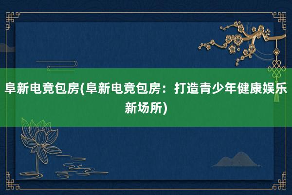 阜新电竞包房(阜新电竞包房：打造青少年健康娱乐新场所)