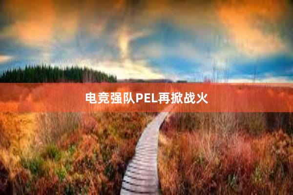 电竞强队PEL再掀战火