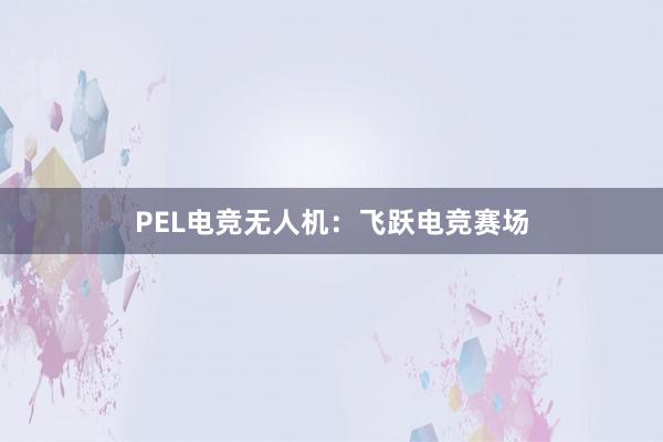 PEL电竞无人机：飞跃电竞赛场