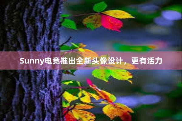 Sunny电竞推出全新头像设计，更有活力