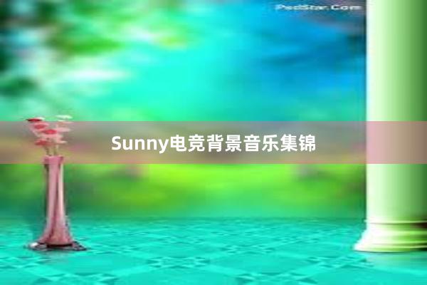 Sunny电竞背景音乐集锦