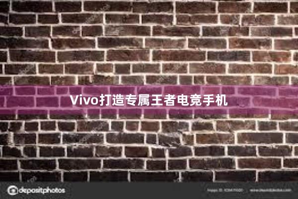 Vivo打造专属王者电竞手机