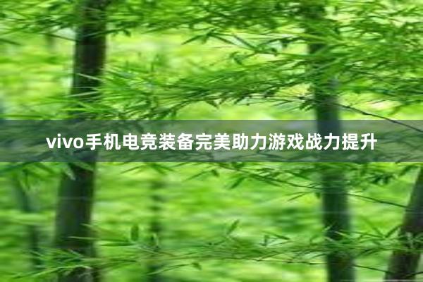 vivo手机电竞装备完美助力游戏战力提升