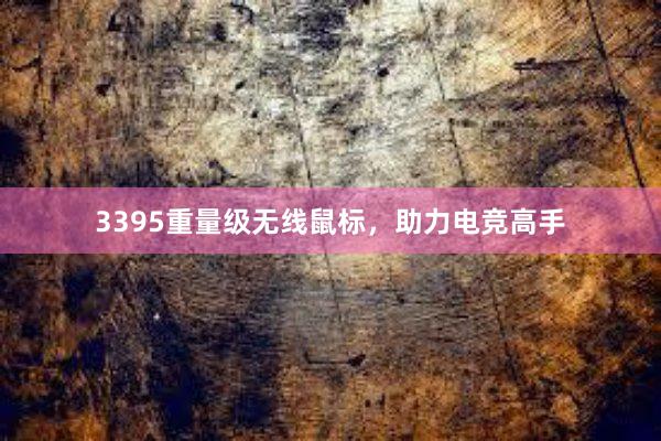 3395重量级无线鼠标，助力电竞高手