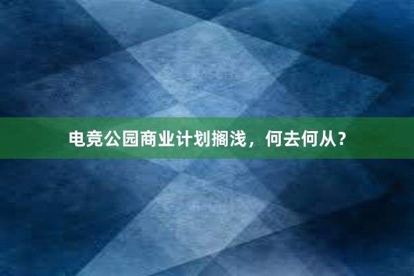 电竞公园商业计划搁浅，何去何从？