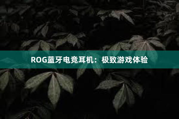 ROG蓝牙电竞耳机：极致游戏体验