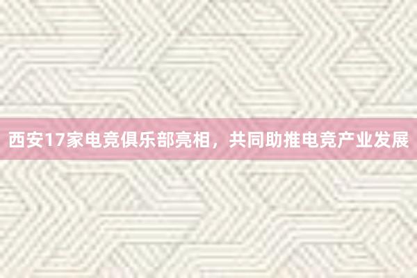 西安17家电竞俱乐部亮相，共同助推电竞产业发展