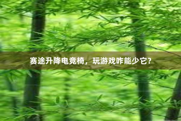 赛途升降电竞椅，玩游戏咋能少它？