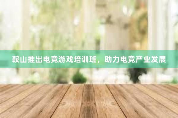 鞍山推出电竞游戏培训班，助力电竞产业发展